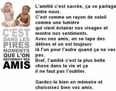 lamiti&eacute;
