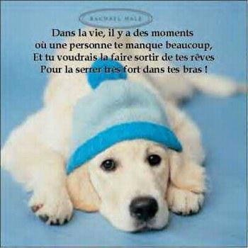 pour tt ce ki me manke se reconaitron